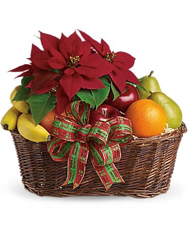 Fruit and Poinsettia Basket - Perfect for family, friends and business associates, this generous gift delivers luscious fresh fruit, a brilliant red poinsettia and a whole lot of holiday cheer.  A beautiful live poinsettia plant is joined by apples, bananas, pears and oranges in a beautiful basket that's all wrapped up with a red and green taffeta ribbon. Your good taste in gifts will surely be appreciated.  SUBSTITUTION POLICY – Always deliver the freshest flowers! Please note the bouquet pictured reflects our original design.  If the exact flowers or container in this arrangement are not available, we will create a beautiful bouquet with the freshest available flowers.