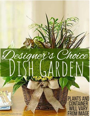 Mixed potted plants in a wicker basket with a burlap bow