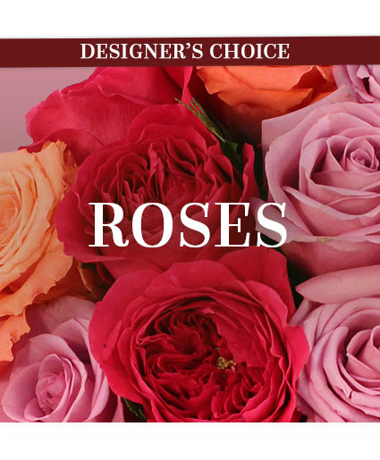 Close-up of roses in red, pink, and peach tones