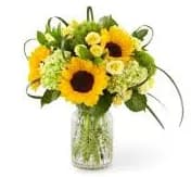 Sunlit Days Bouquet - Light up the face of your loved ones with a bouquet filled with warm, sunny sentiments. From bold sunflowers to green mini hydrangea and yellow spray roses, capturing the wonder of lush fields was the inspiration behind our Sunlit Days Bouquet. Completed with green trick dianthus and lily grass, this arrangement is perfect for saying, "You make life brighter," or "Your presence is radiant".