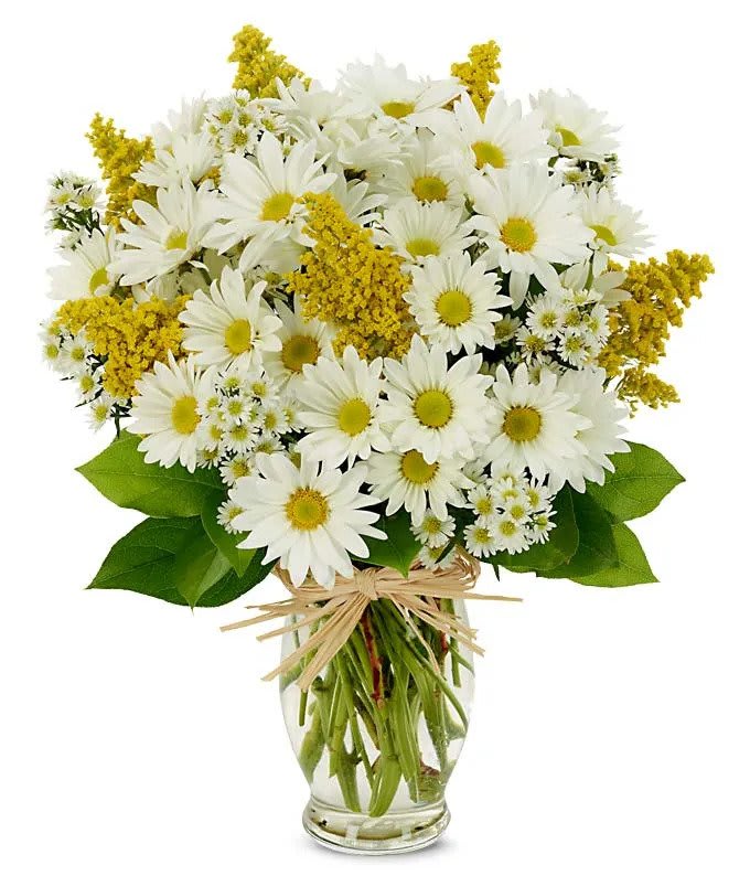 Bouquet of white daisies and yellow filler flowers in a glass vase