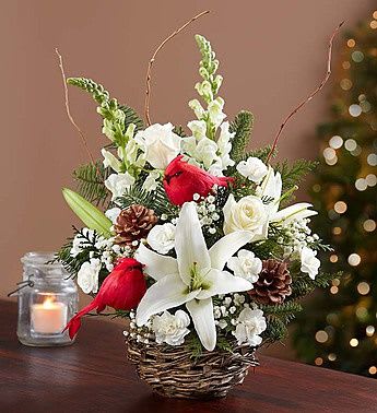 Winter Songbird - EXCLUSIVE Invite the beauty and serenity of a snowy winter landscape into their home with our hand-crafted mix of roses, lilies, snapdragons, mini carnations and assorted greens. Artistically designed in a charming bird’s nest basket, this creative arrangement is finished off with baby’s breath, willow tips, pinecones and a festive cardinal pick to accent its seasonal charm.