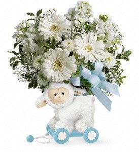 Sweet little Lamb - Baby blue - Sweet little Lamb - Baby blue
