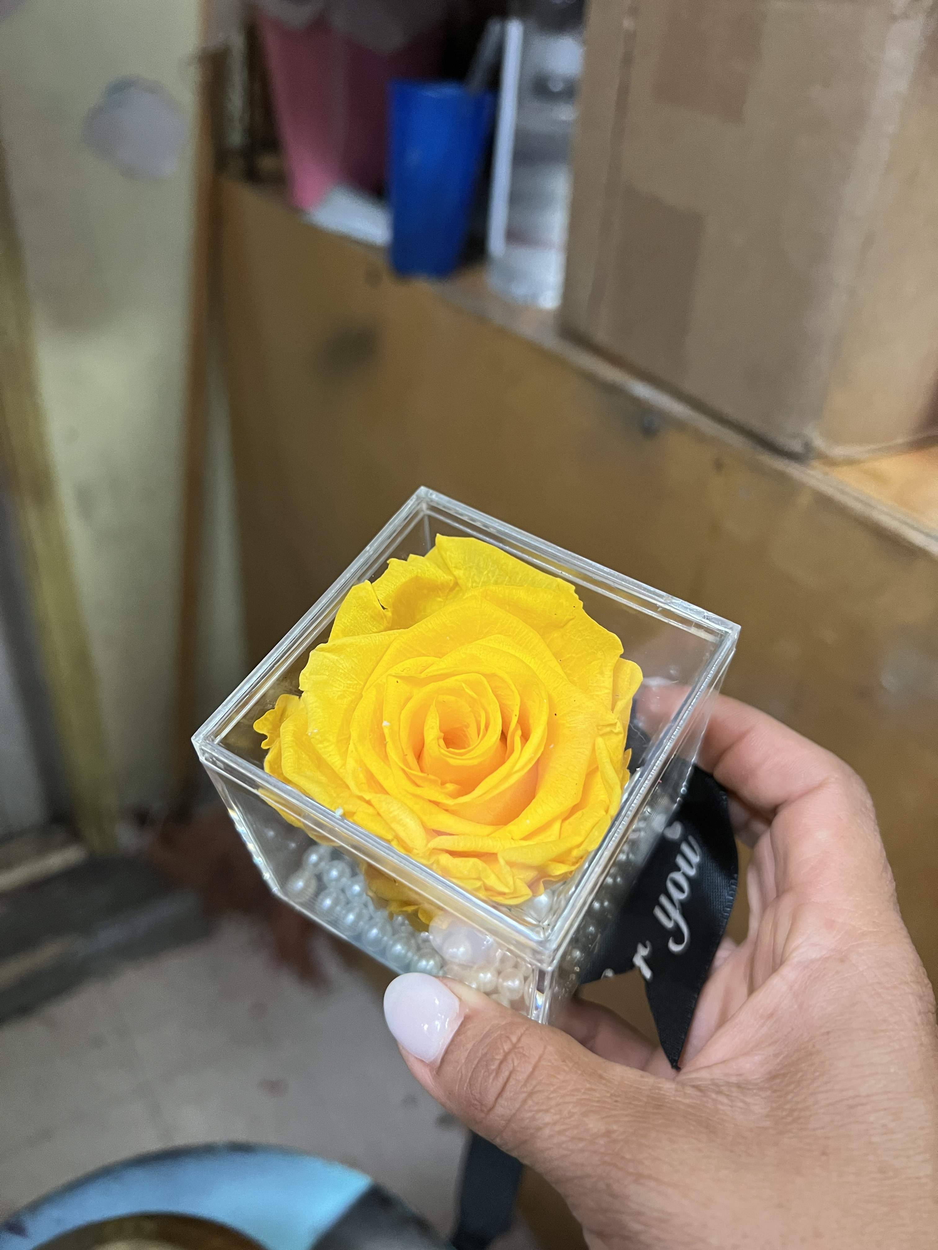 Eternal love rose  - One preserved Ecuadorian rose to last 3-5 years , that signifies eternal soulmate love. 