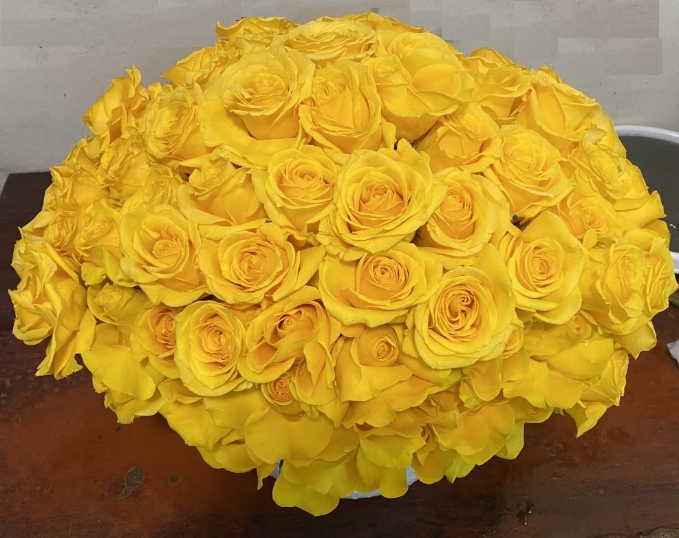 Low dome arrangement of bright yellow roses in a white container