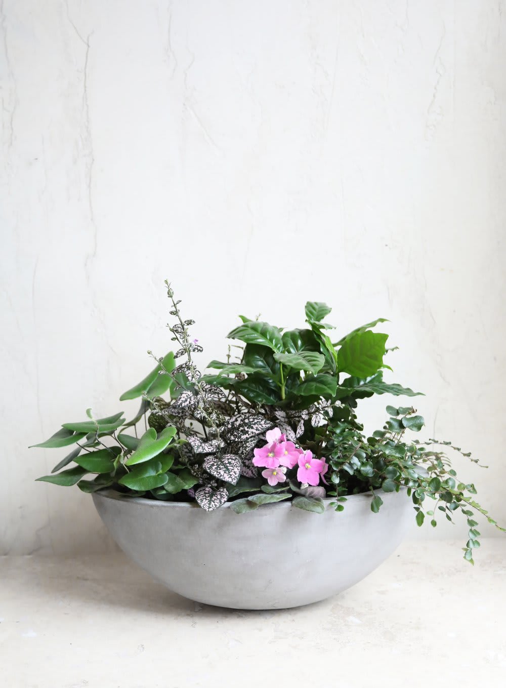Low planter with mixed green plants and small pink flowers in a gray bowl