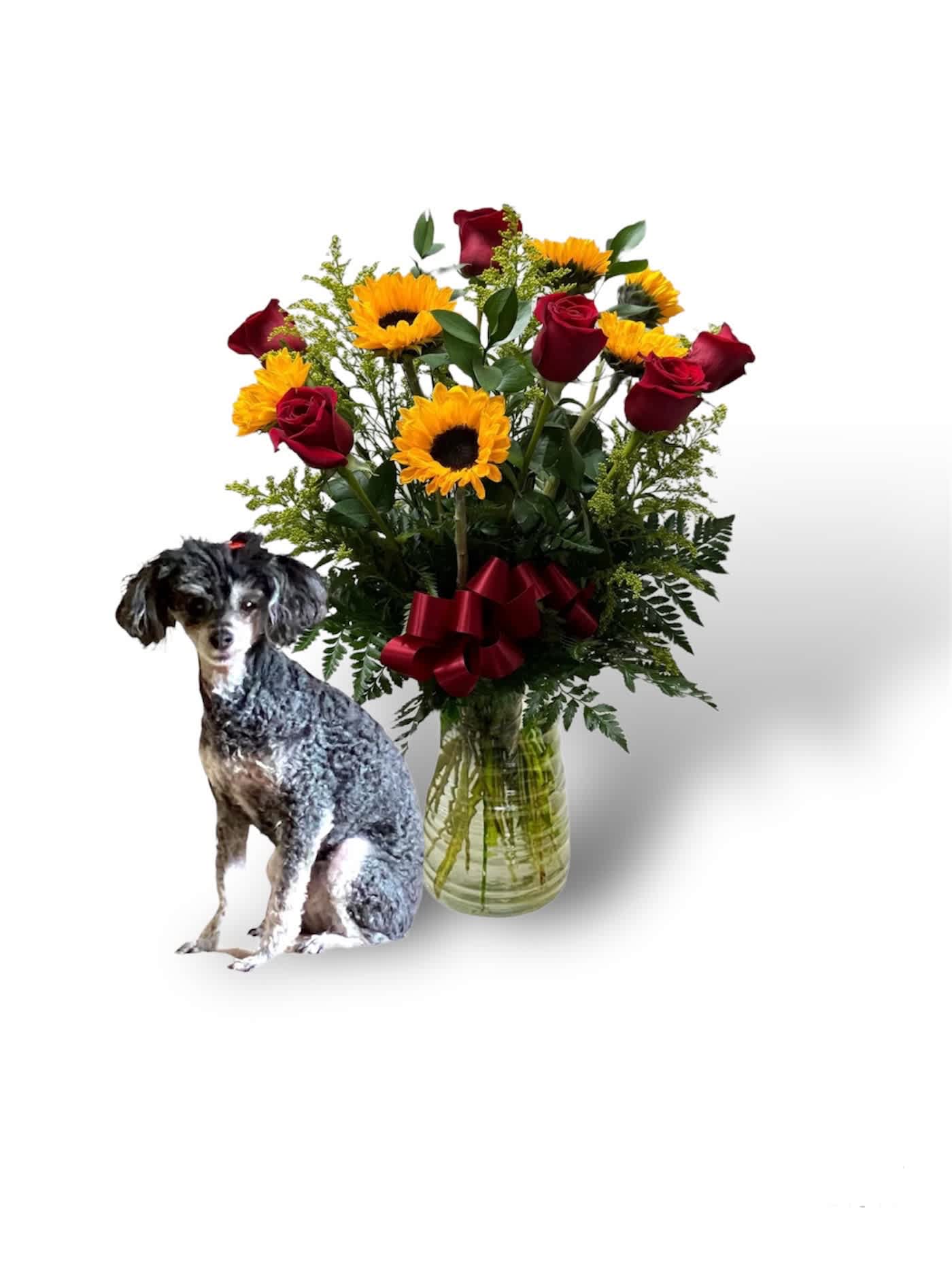 Bouquet of red roses and yellow sunflowers in a glass vase with a dog cutout
