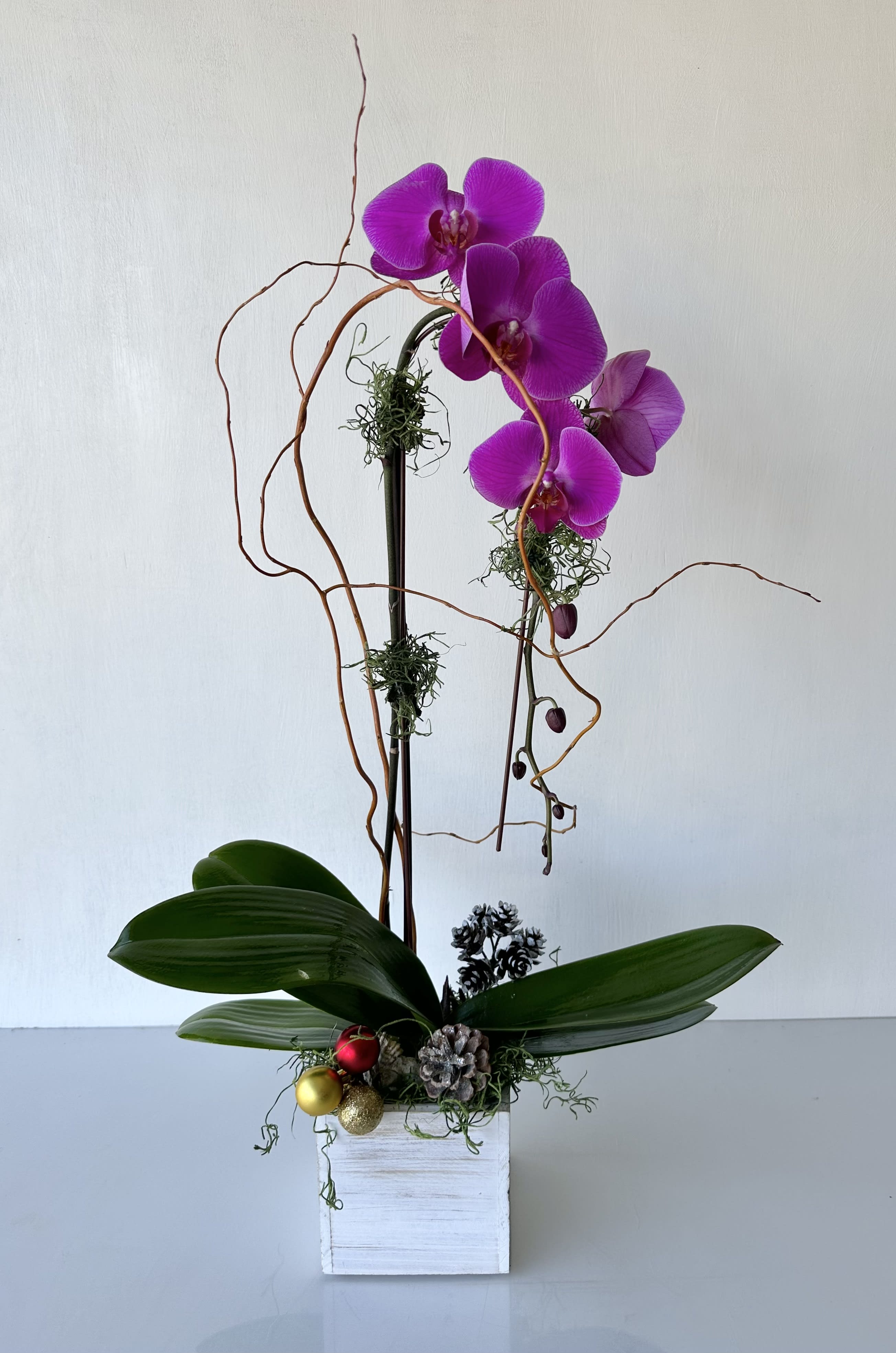Purple orchids in a white square planter with decorative branches