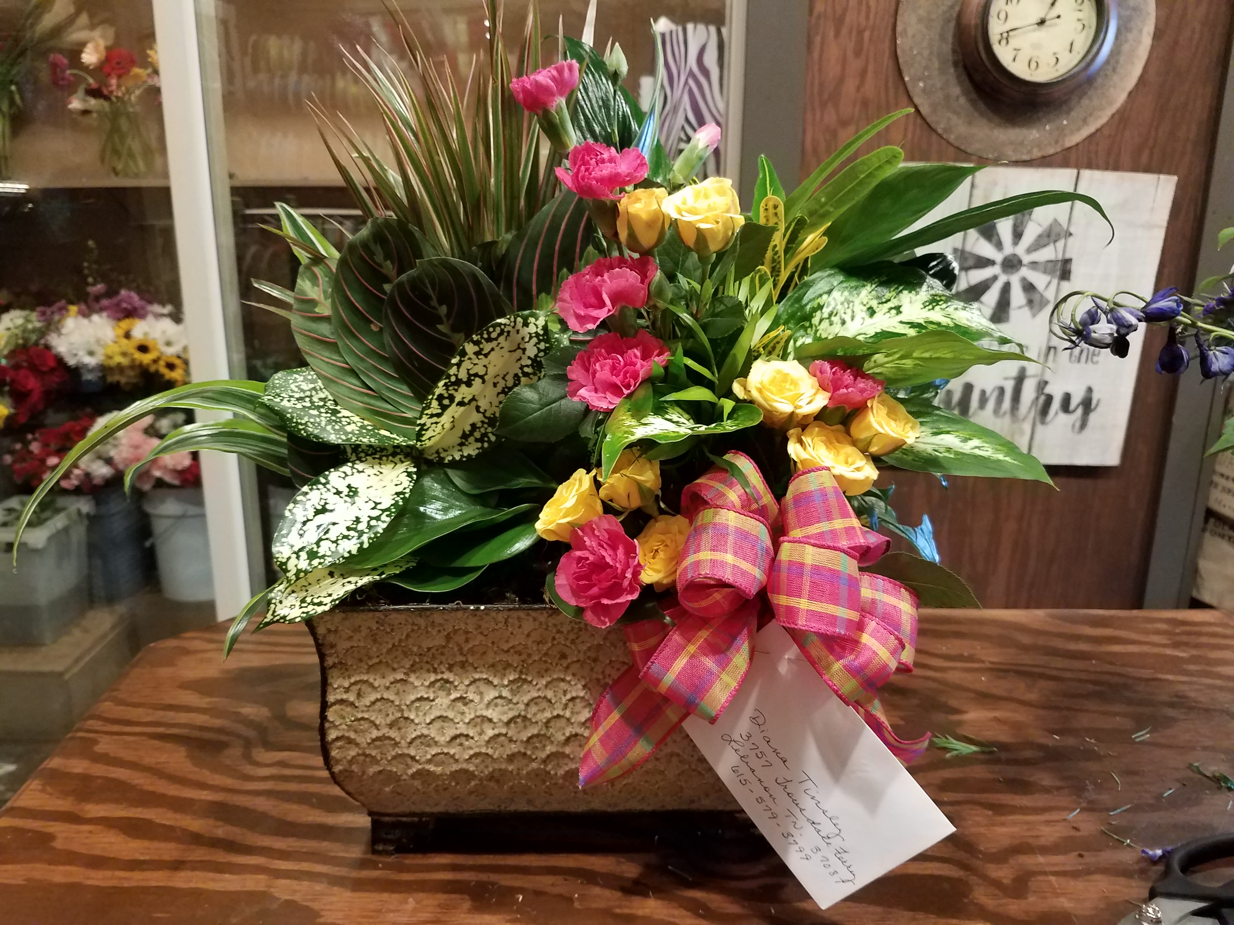 Mixed floral arrangement in a textured rectangular container with a plaid ribbon