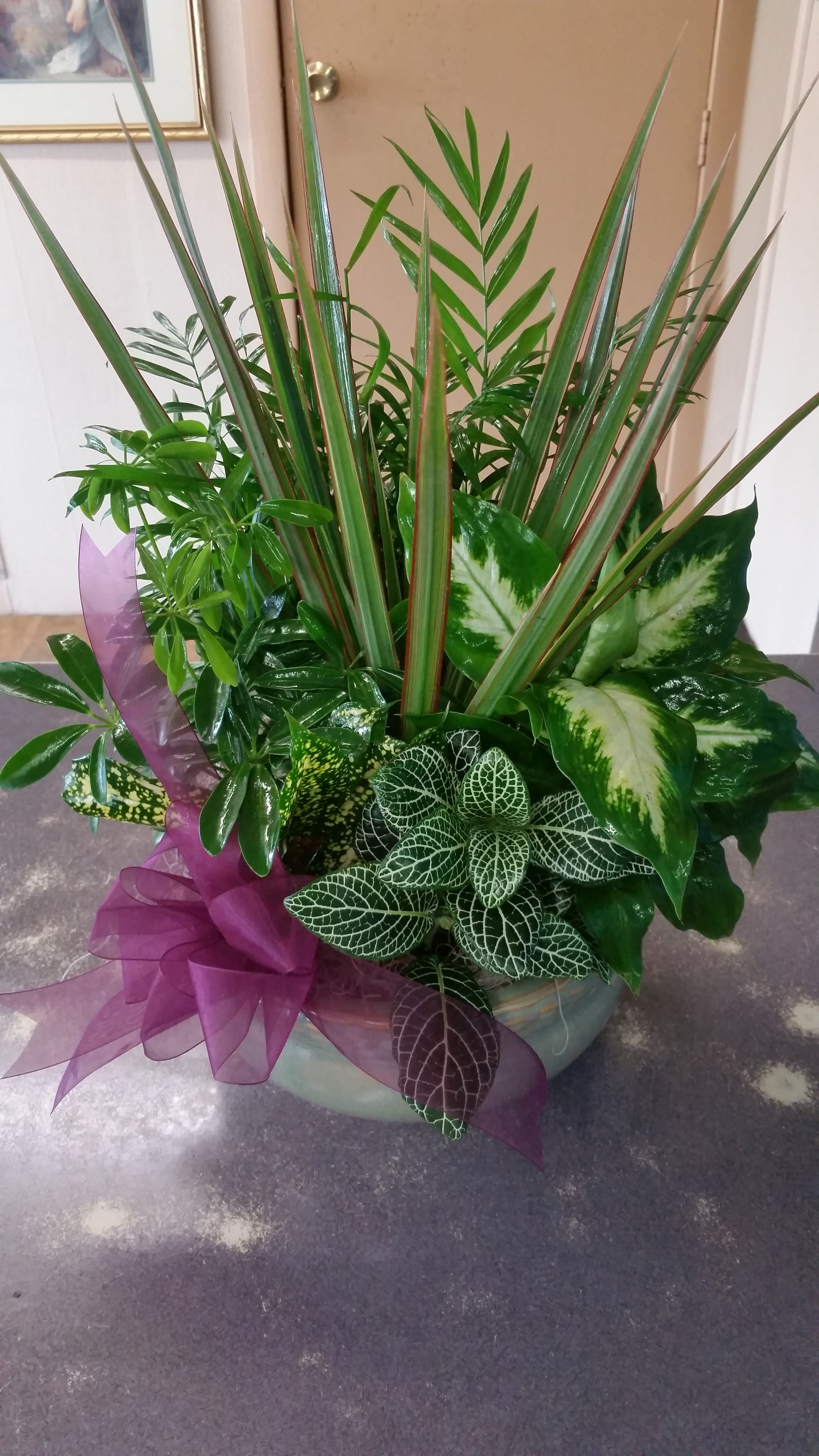 Dish Garden  - A variety of mixed plants in a decorative container. 