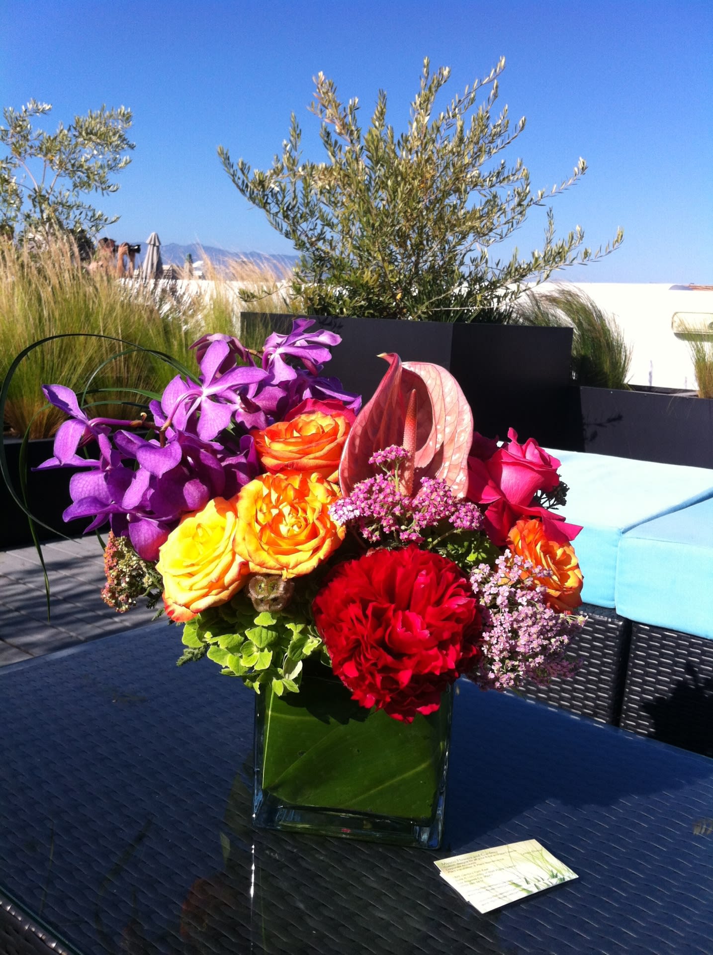 Dreams - Bring sunlight into any room or occasion with this premium assortment of flowers. 