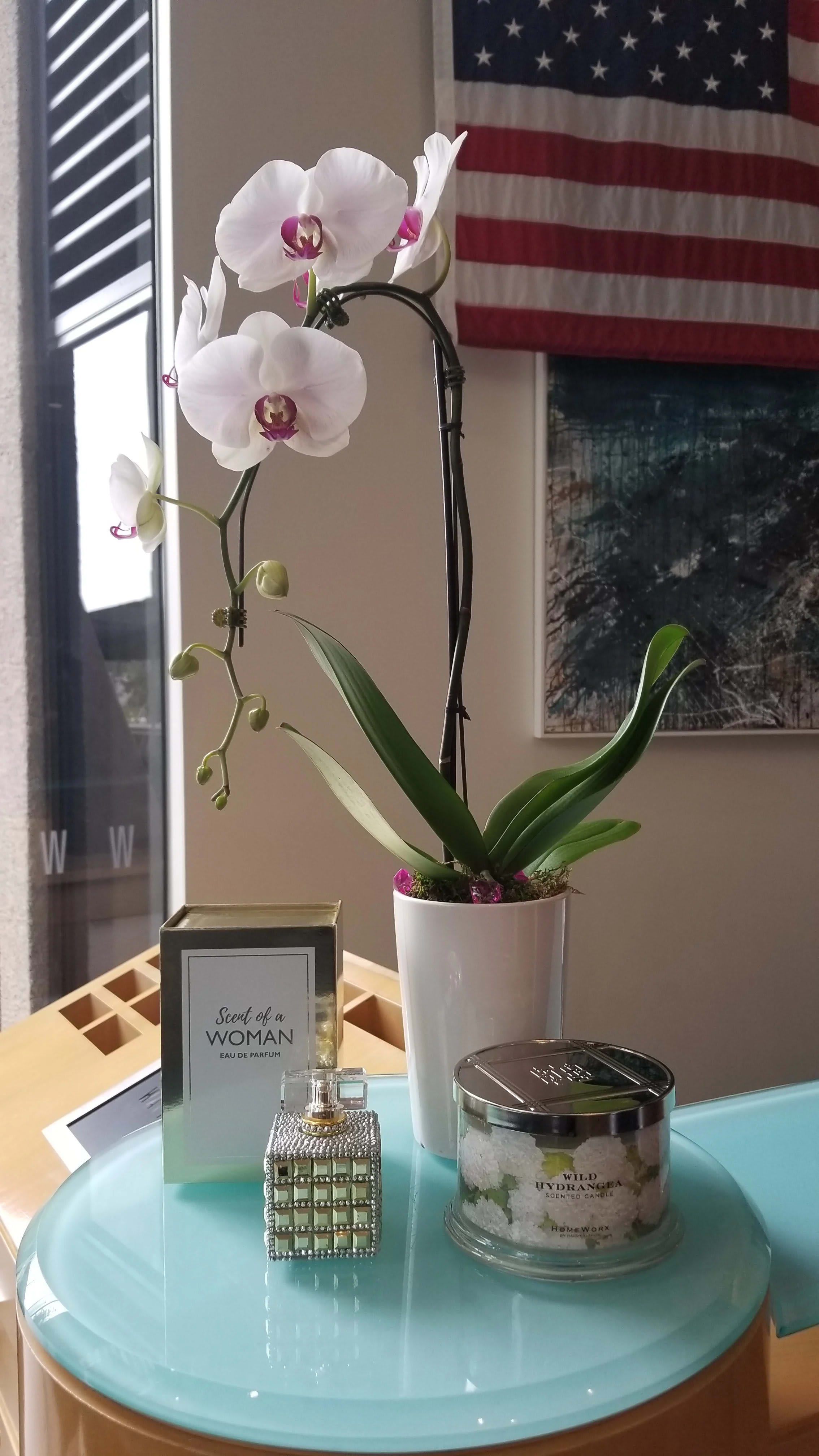 White orchid in a pot with perfume, candle, and a decorative bottle