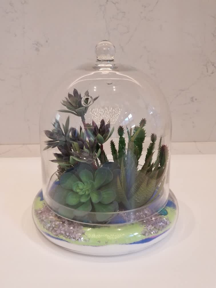 Succulent arrangement under a glass cloche on a decorative base