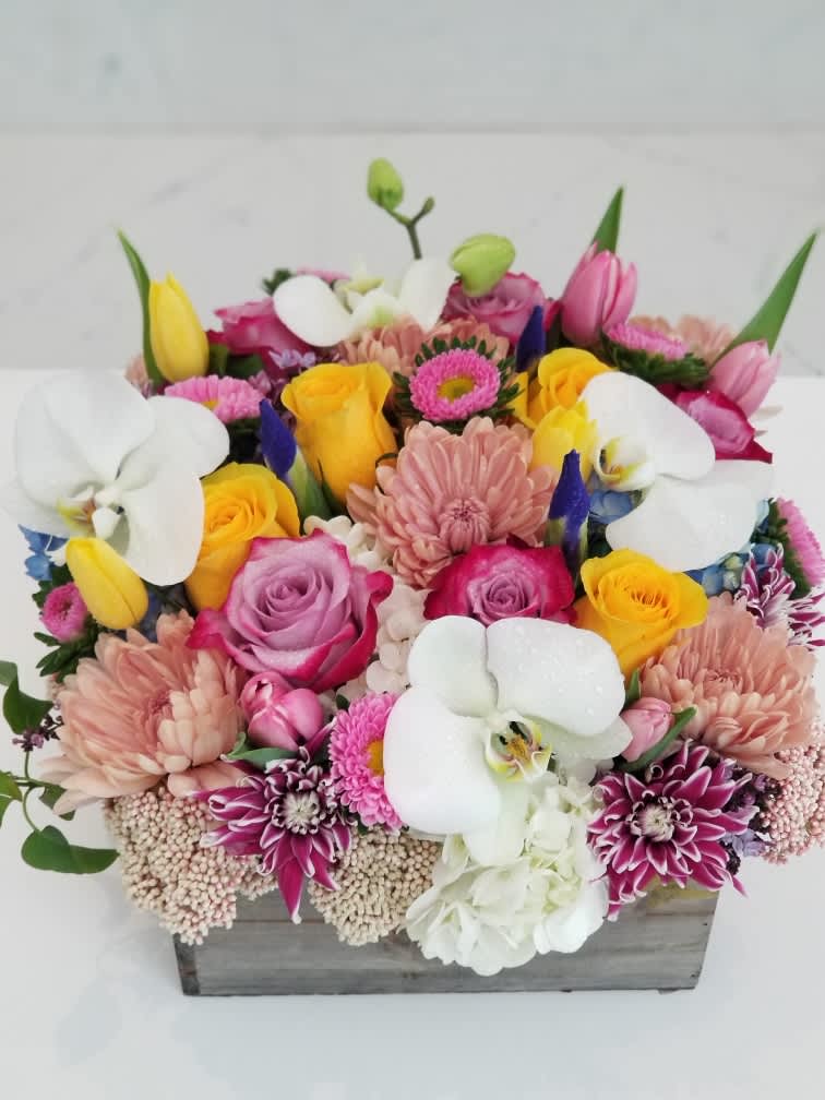 Bright Blooms Box - Bright Color blooms in a Garden Box. Approximately 10" x 13" 
