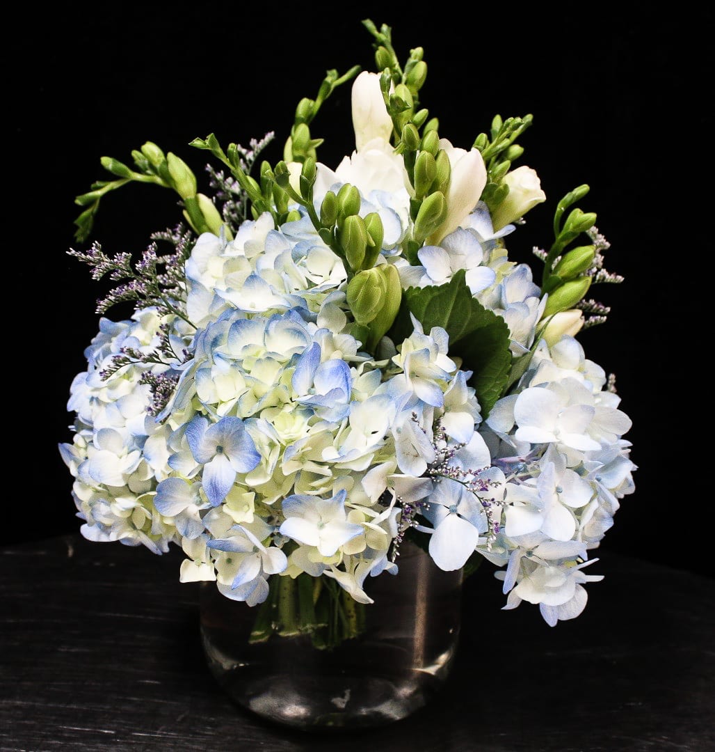 The Blue Horizon - 	Just because you love them. Flowers smell sweetest when they surprise. Fresh seasonal arrangements that are sure to delight, inspire, or get you out of the doghouse. 