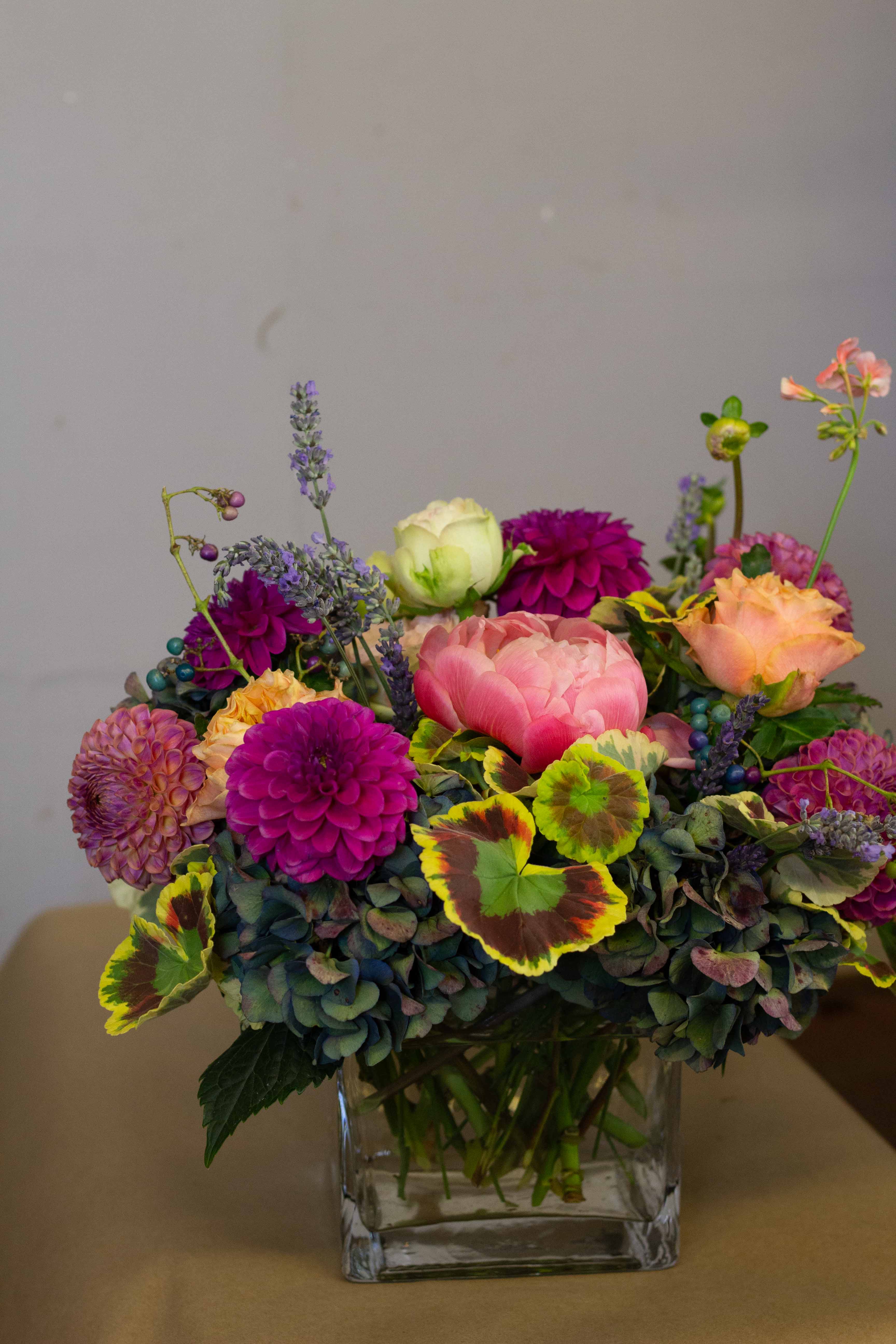 August - Hydrangea with bright, pink and purple seasonal flowers. 