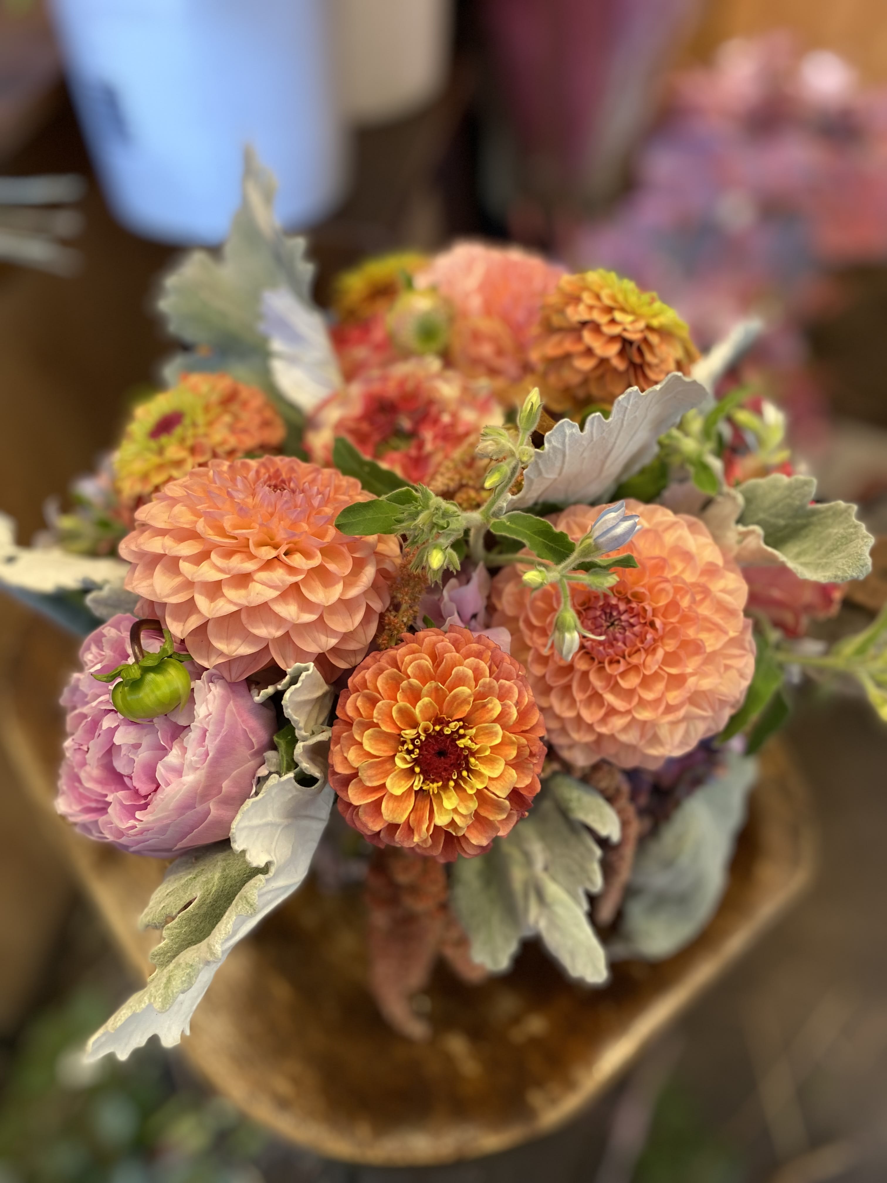 Bouquet of peach and pink dahlias with silvery foliage