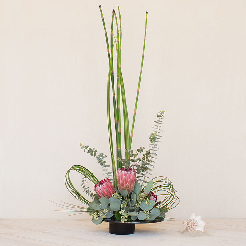 Tall modern arrangement with pink protea and vertical green reeds in a low black bowl