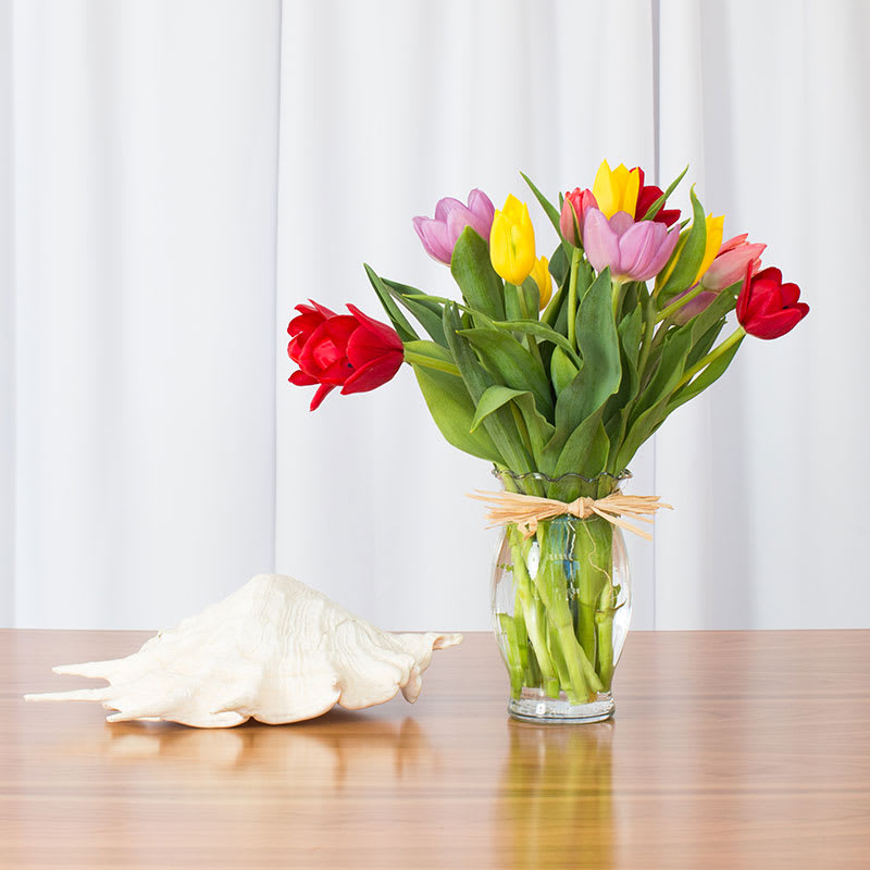 Mixed bouquet of red, yellow and purple tulips in a clear glass vase beside a large white seashell