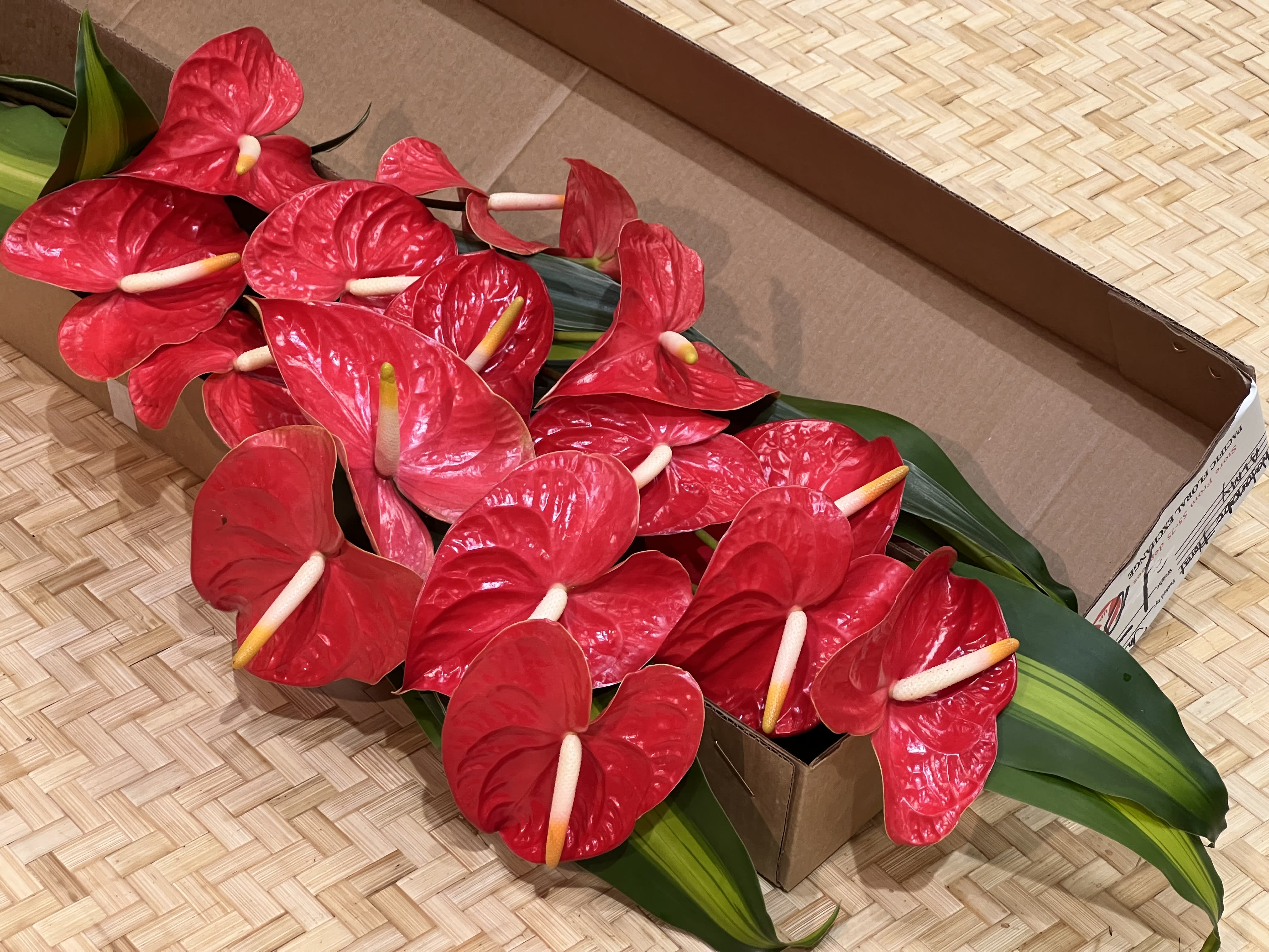 Bundle of red tropical flowers with pale centers packed in a cardboard box.