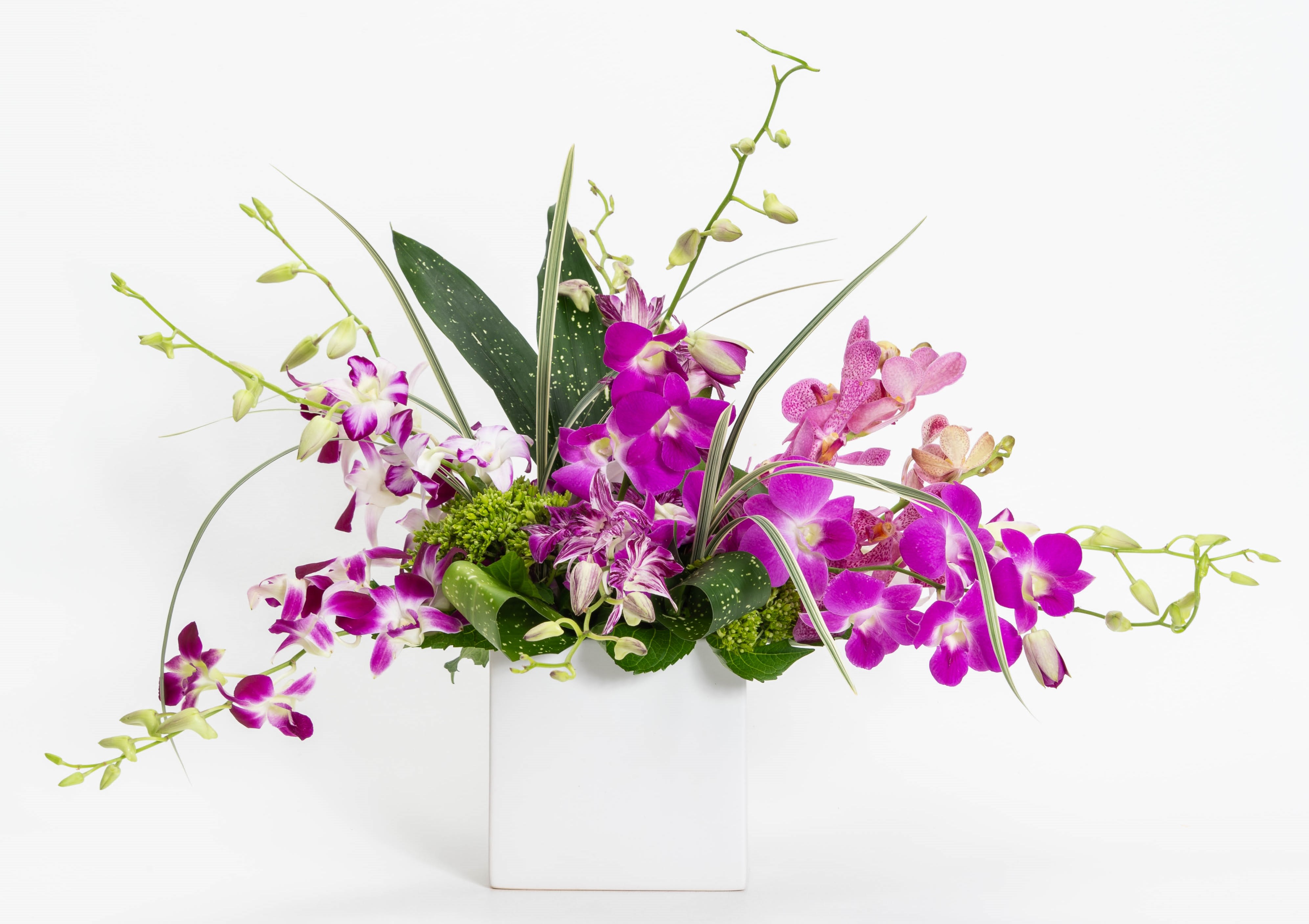 Purple orchid arrangement in a white square vase