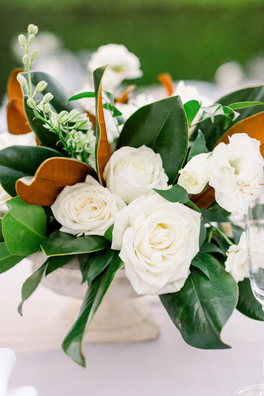 White roses arranged with glossy green leaves and brown accents