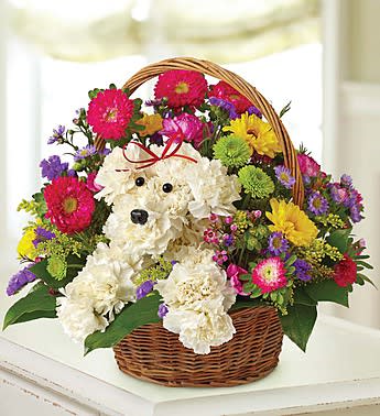Basket of colorful flowers arranged around a white teddy bear