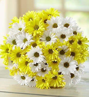 Bouquet of yellow and white daisy flowers