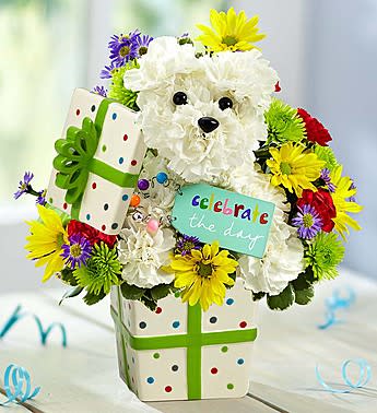White teddy bear floral arrangement with colorful daisies and a gift box