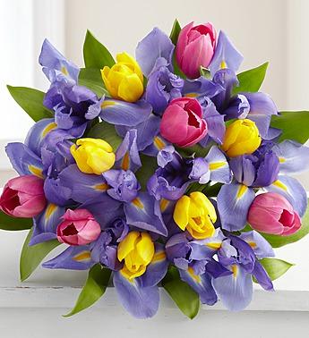 Bouquet of purple, pink, and yellow tulips with green leaves