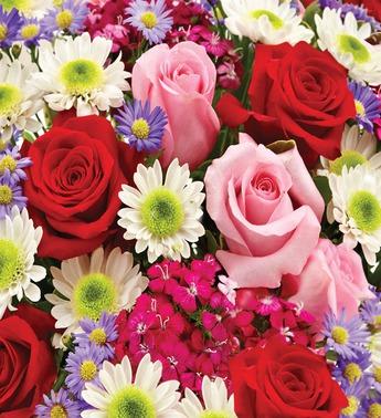 Close-up bouquet of red and pink roses with white daisies and purple flowers