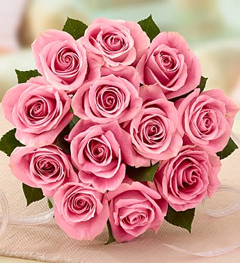 Bouquet of pink roses with a white ribbon wrap