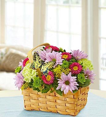 Basket of pink and green daisies with a butterfly pick