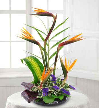 Bird of paradise arrangement in a low black container