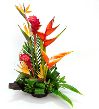 Tropical flower arrangement with orange bird-of-paradise and red ginger in a low container
