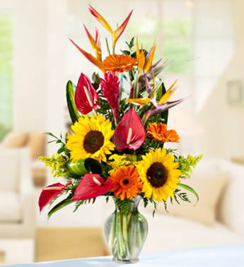Tropical bouquet with sunflowers, red anthuriums, and bird of paradise in a glass vase