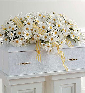 White daisy arrangement in a white casket with yellow ribbon