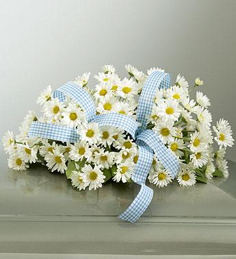 White daisy arrangement with a blue gingham ribbon
