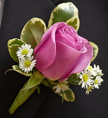 Pink rose boutonniere with small white daisies and variegated leaves