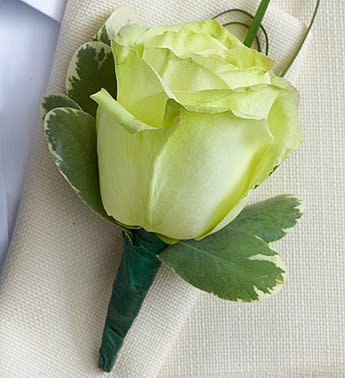 Single pale green rose boutonniere with variegated leaves
