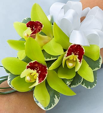 Green orchid corsage with white ribbon and variegated leaves