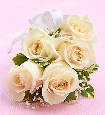 Bouquet of cream roses with white ribbon on a pink background