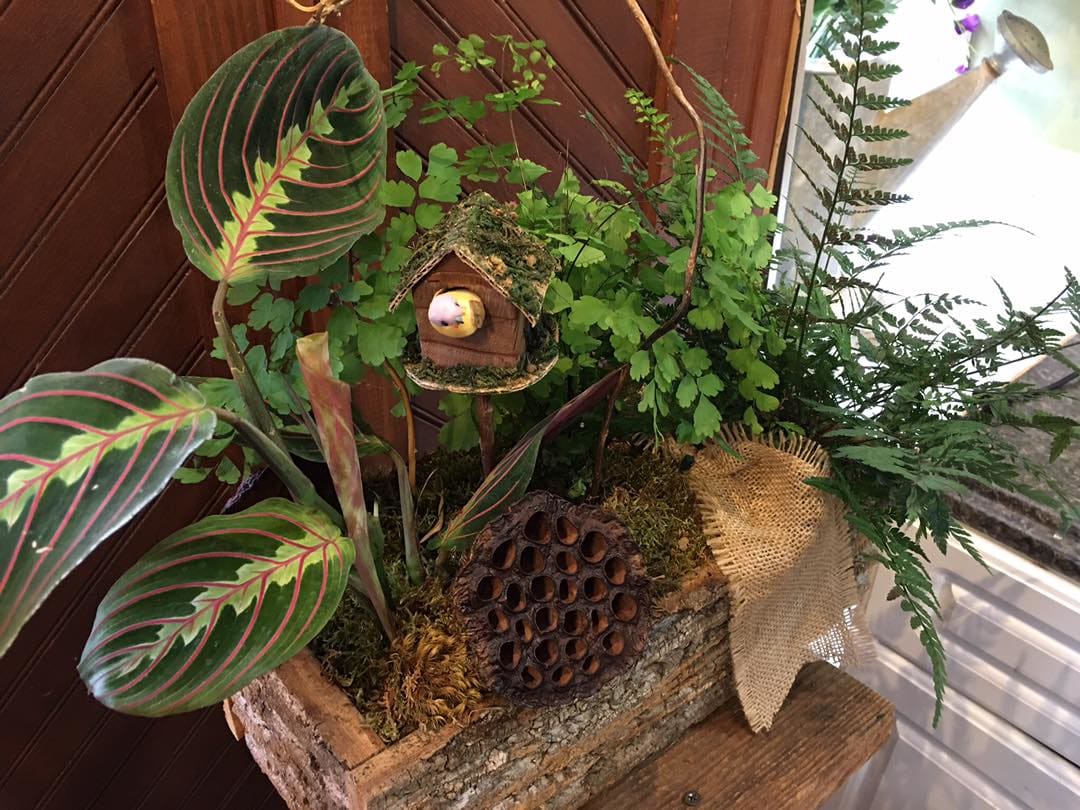 Potted foliage arrangement with a small birdhouse and burlap accent
