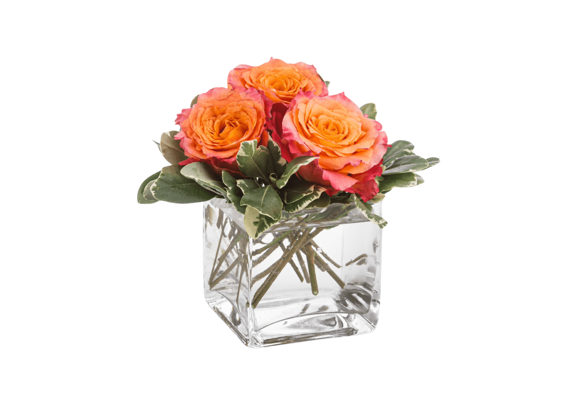 Petite Sunset - A petite 3 rose gift is a perfect little "thinking of you" arrangement. Spirit roses are so beautiful on their own, they don't need much else! 
