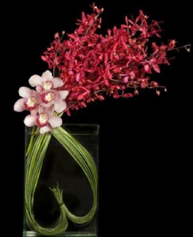 Pink orchids arranged in a tall glass vase with long green stems