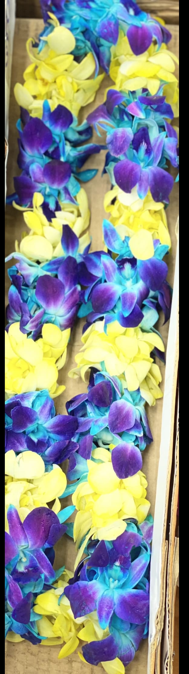 Box of purple and yellow orchid leis