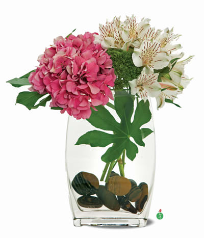 Sweet Dreams - Sweet dreams are made of this... a sprig of pretty pink hydrangea and snowy white blooms, paired with showy greens and displayed “on the rocks” in a clear glass vase. This splendid floral gift would be perfectly appropriate for a home or workplace.
