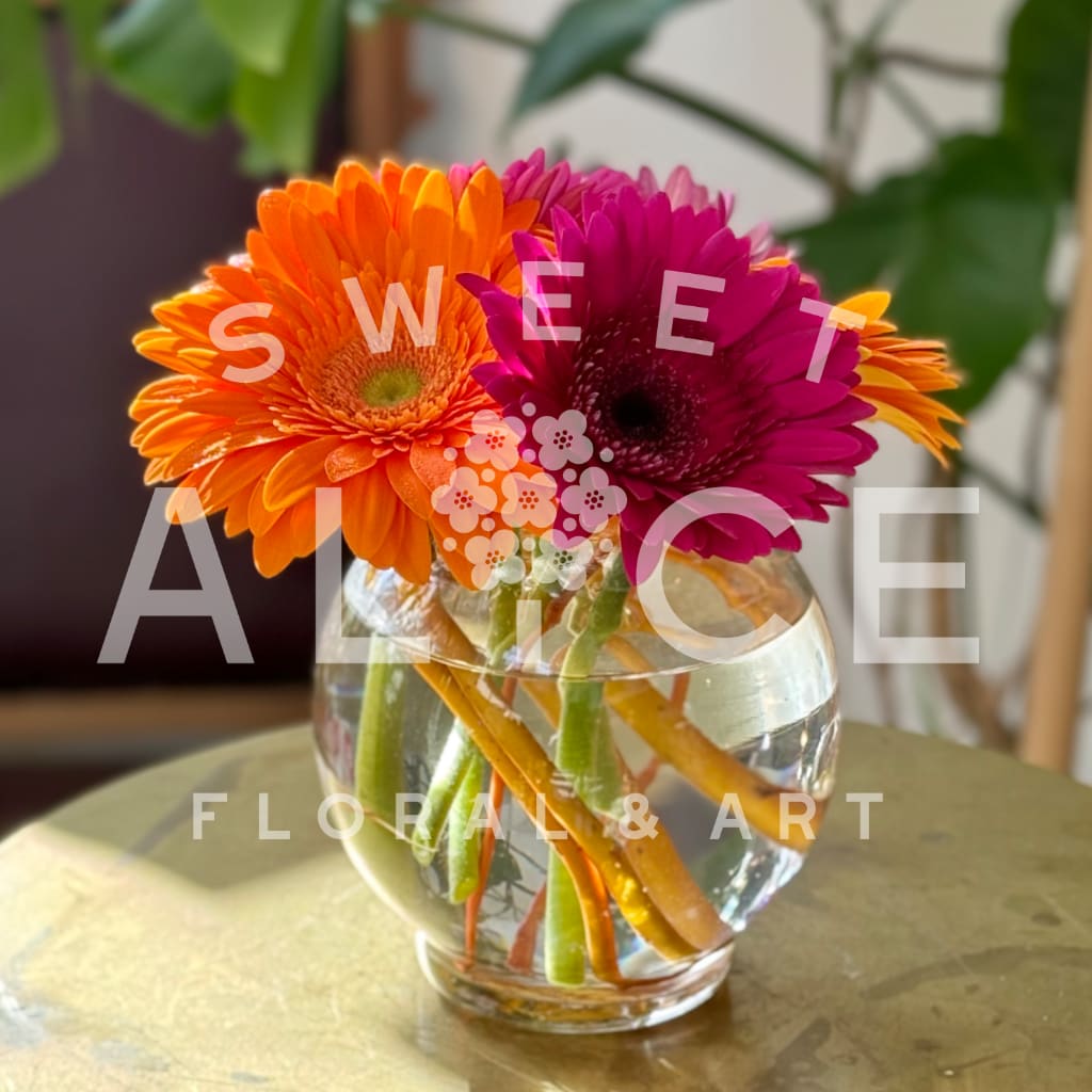 Orange and magenta gerbera daisies in a clear glass vase