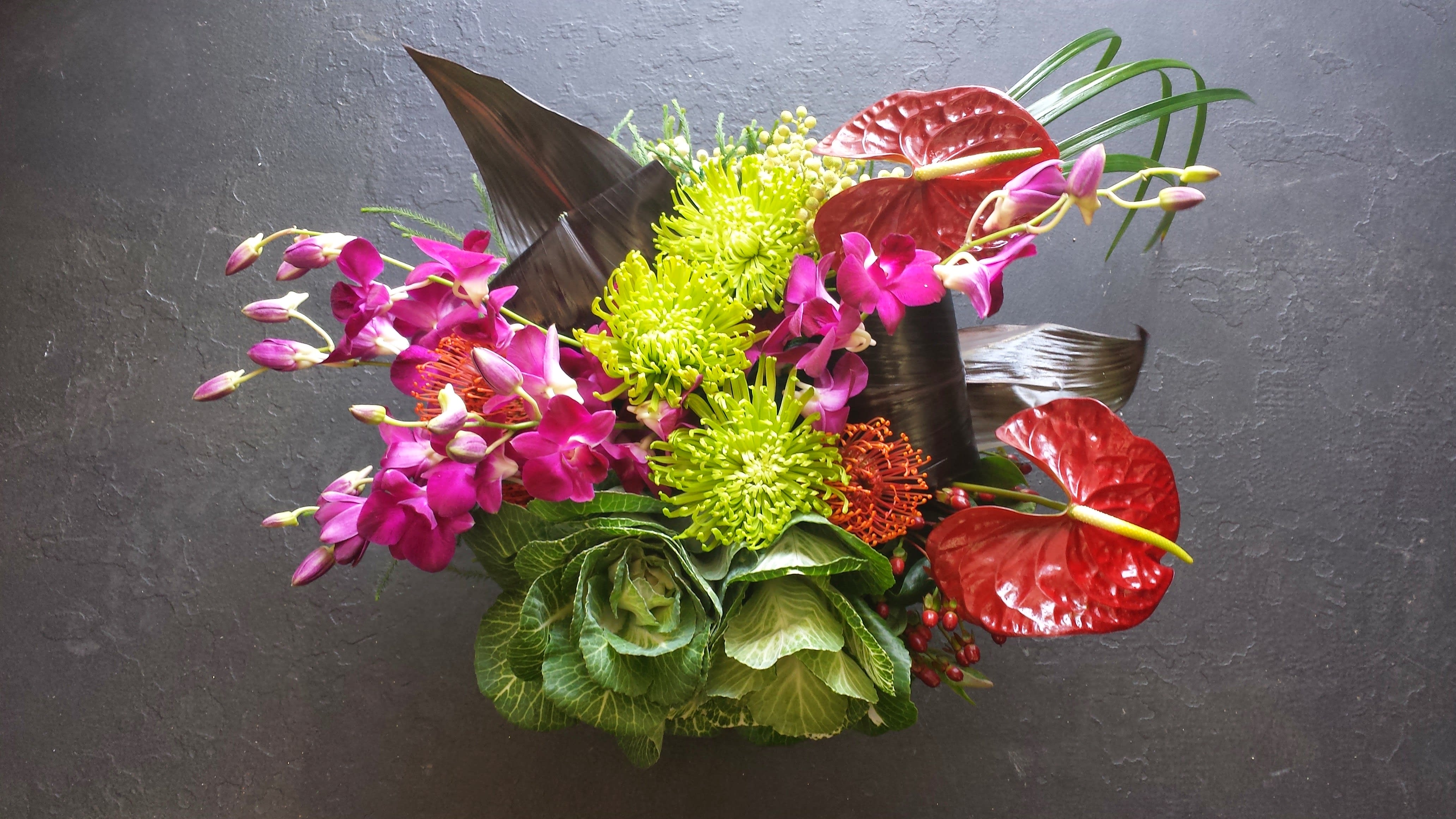 Exotic by Nature 2  Day Delivery -  Lon lasting Red Anthurium, Bombay Orchids, Varigated White Kale, Fuji Mums, surrounded by Ti Leaves in a contemporary container,perfect for any occasion