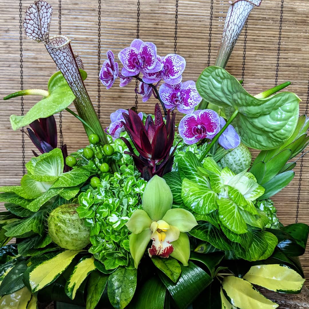Green With Envy SPECIAL ORDER 2 DAY NOTICE - Green Hydrangeas, Green Cymbidium Orchids, Green Anthurium, Green Aspidestra leaves, Green Protea, Philodendron leaves, Cobra Lilies and a Splash  of Purple Orchids  